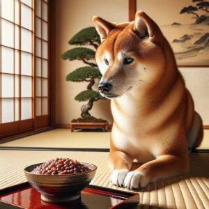 Shiba Inu v bytě: Jak zajistit šťastný život ve městě