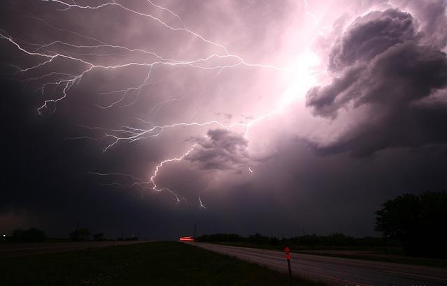 Nebezpečí spojená s nekontrolovaným olizováním psem