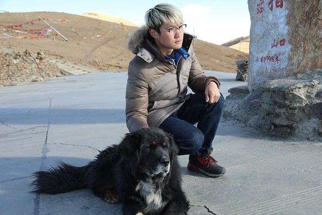 Tipy a Triky Jak Rozpoznat Kvalitní Chovnou Stanici Pro Tibetského Mastifa