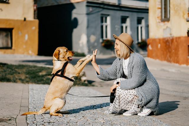 Není jen o filmech: Jak psí společníci ovlivňují naše životy