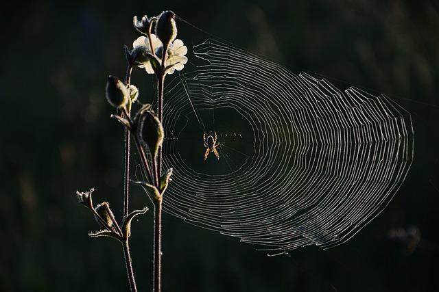 Jak se vyhnout chybám při určování správné velikosti